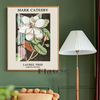 Atzīmēt Catesby Vintage Ilustrācija Sienas Mākslas Izdrukas Plakātu Lauru Koks, Audekls Gleznošanai Ziedu Izstāde Sienas Attēlu Mājas Dekoru