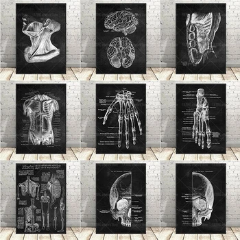 Cilvēka Anatomija Plakātu Melnā un Baltā balsta-kustību aparāta Mākslas Audekls Gleznošanai Mūsdienu Medicīnas Izglītības Biroja Dekoratīvās Sienas